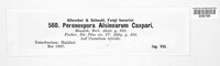 Peronospora alsinearum image